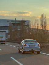 Peugeot 206 CC Filou 110 Filou - Peugeot 206 Gebrauchtwagen in Stuttgart