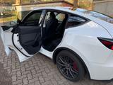 Tesla Model Y Performance Dual Motor AWD / AHK / SR/WR - Tesla Model Y in Hamburg