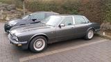 Jaguar 12 Zylinder,  TÜV neu, H- Kennzeich... - Jaguar aus 1993