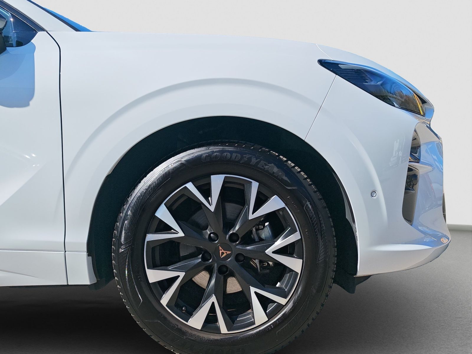 Cupra Terramar - Bild 17