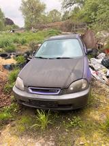 Honda civic Teile oder Export oder Bastler - Honda aus 1996