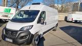 Fiat Ducato  Kühlfahrzeug Lang L5H2 - Fiat Ducato: Lang