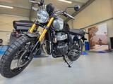Royal Enfield Bear 650 Golden Shadow - ROYAL ENFIELD MOTORRAD