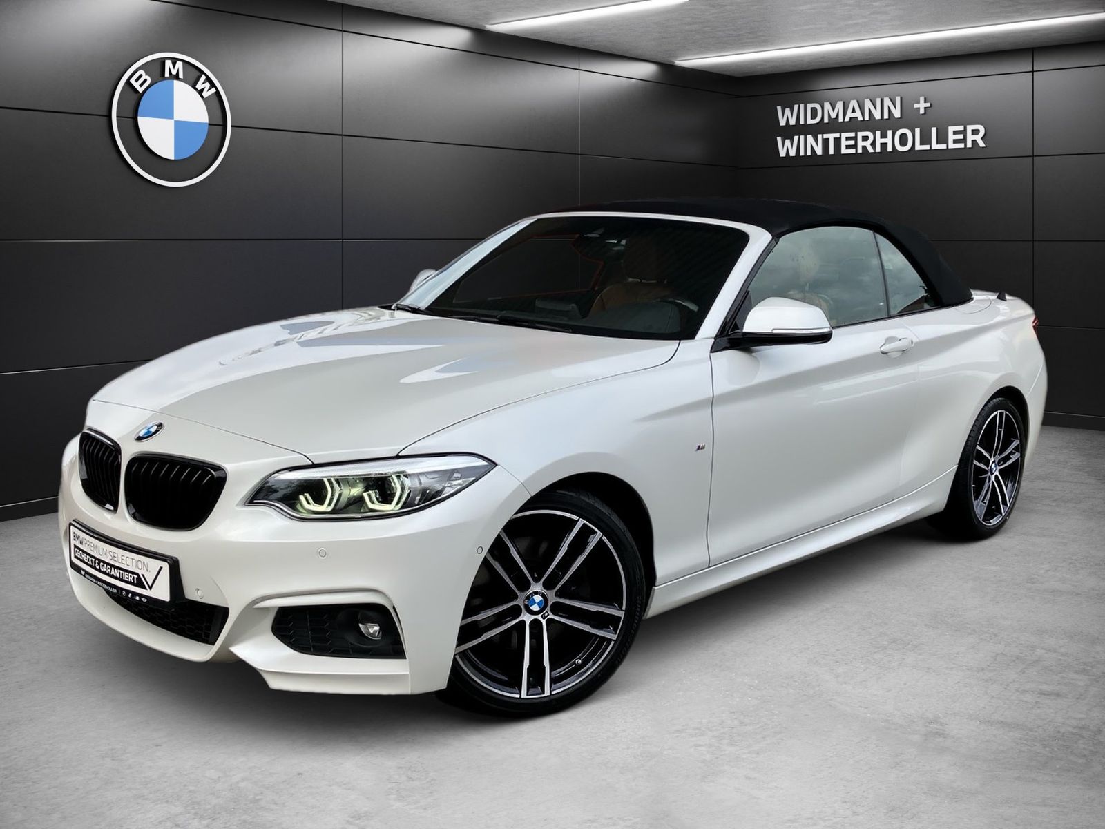 BMW 220i Cabrio M Sport Aut. Navi ad.LED 18´´ H/K