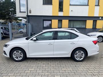 Skoda Octavia - 5
