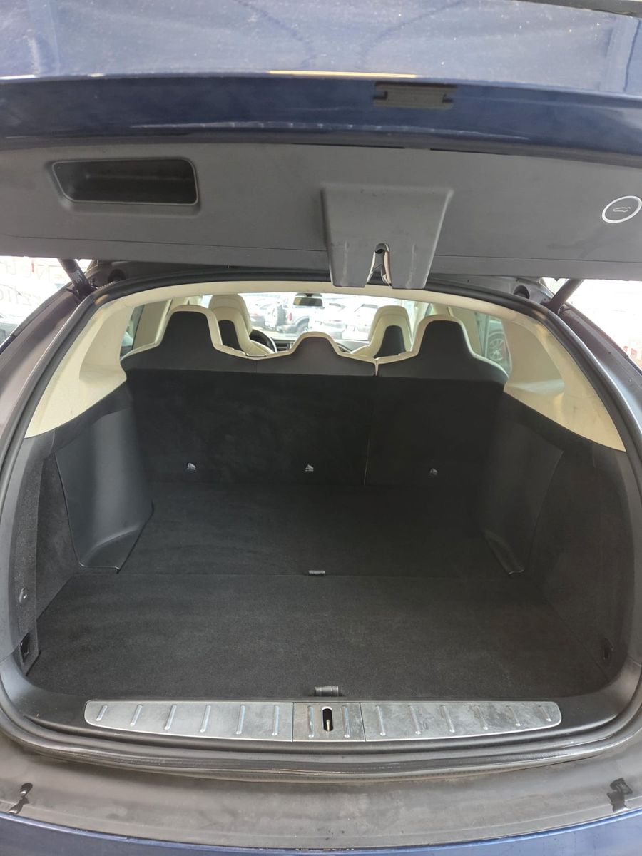 Fahrzeugabbildung Tesla Model X 100 D /AHK abnehmbar