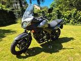 Suzuki V-Strom 650 A2 gedrosselt - Angebote entsprechen deinen Suchkriterien
