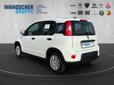 Fiat Panda 1.0 Mild Hybrid MY24 PDC TEMPOMAT SPURHALT - Fiat Panda: Weiß