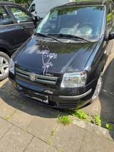 Fiat Panda 1,2l 60 PS - Fiat Panda in Bonn