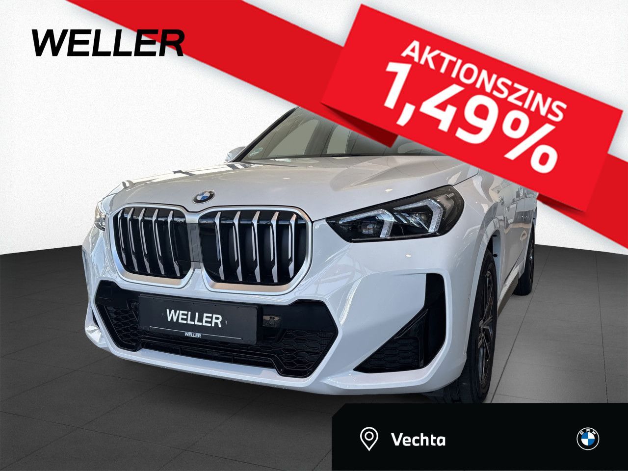 BMW X1 xDrive20d M Sport ACC adLED H/K 18" MEM Navi
