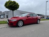 Jaguar XE Pure/1. HAND/8FACH ALU/TOP GEPFLEGT/EURO6 - Jaguar XE: Pure