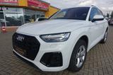 Audi Q5 40 TDI quattro S line*Matrix LED*ACC*Leder*1. - Audi Q5 in Halle