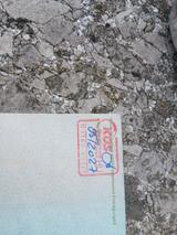 Fiat 500C 1.4 16V Lounge - Fiat 500C bis 5.000 Euro