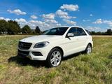 Mercedes-Benz Mercedes Benz ML 350CDI BlueTec 4Matic 4xS... - Mercedes-Benz ML 350 in Bielefeld