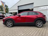 Mazda CX-30 SKYACTIV-X 2.0 M Hybrid SELECTION - Mazda Gebrauchtwagen in Halle