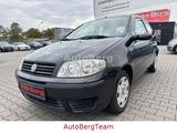 Fiat Punto 1.2 8V *Klima *Automatikgetriebe*Tüv Neu - Fiat Punto: Automatik