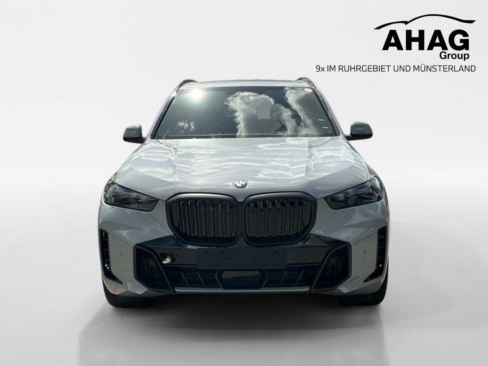 BMW X5 xDrive30d imagem 2