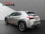 Lexus UX 250h*STYLE*1HD*CARPLAY*SHZ* 15J-GARANTIE* - Lexus Gebrauchtwagen von 2022