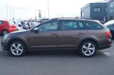 Skoda Octavia Combi Scout 4x4*1.Hand - Skoda: Combi Scout