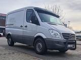 Mercedes-Benz Mercedes Sprinter 313 CDI Kurz/Flach - Mercedes-Benz Sprinter aus 2009: 313 Cdi