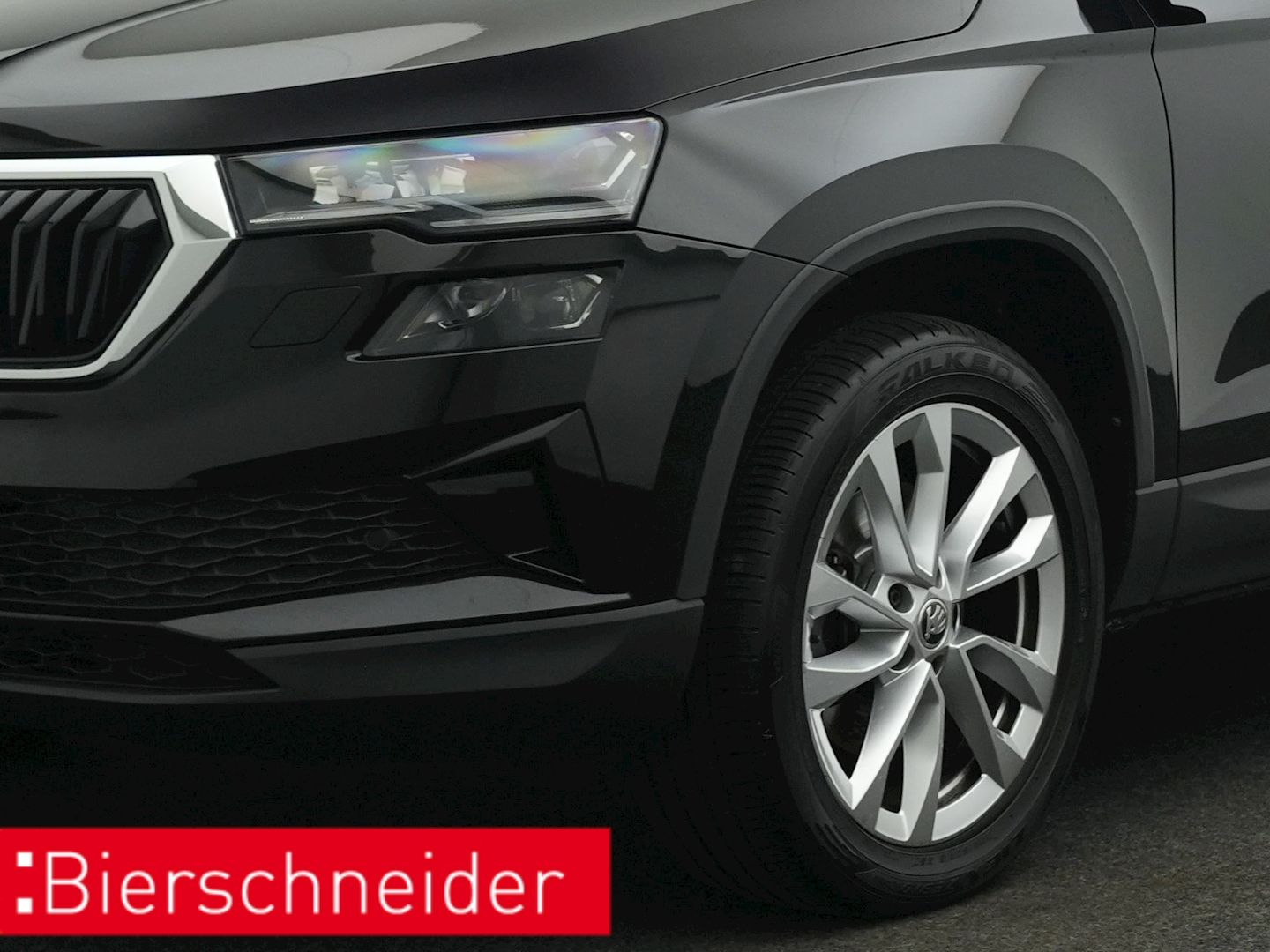 Skoda Karoq - Bild 18