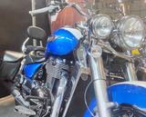 Triumph Thunderbird LT - TÜV neu - TRIUMPH CHOPPER