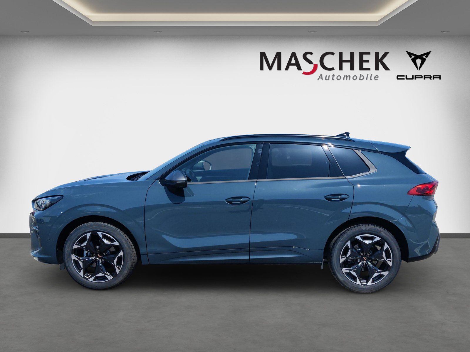 Cupra Terramar - Bild 3