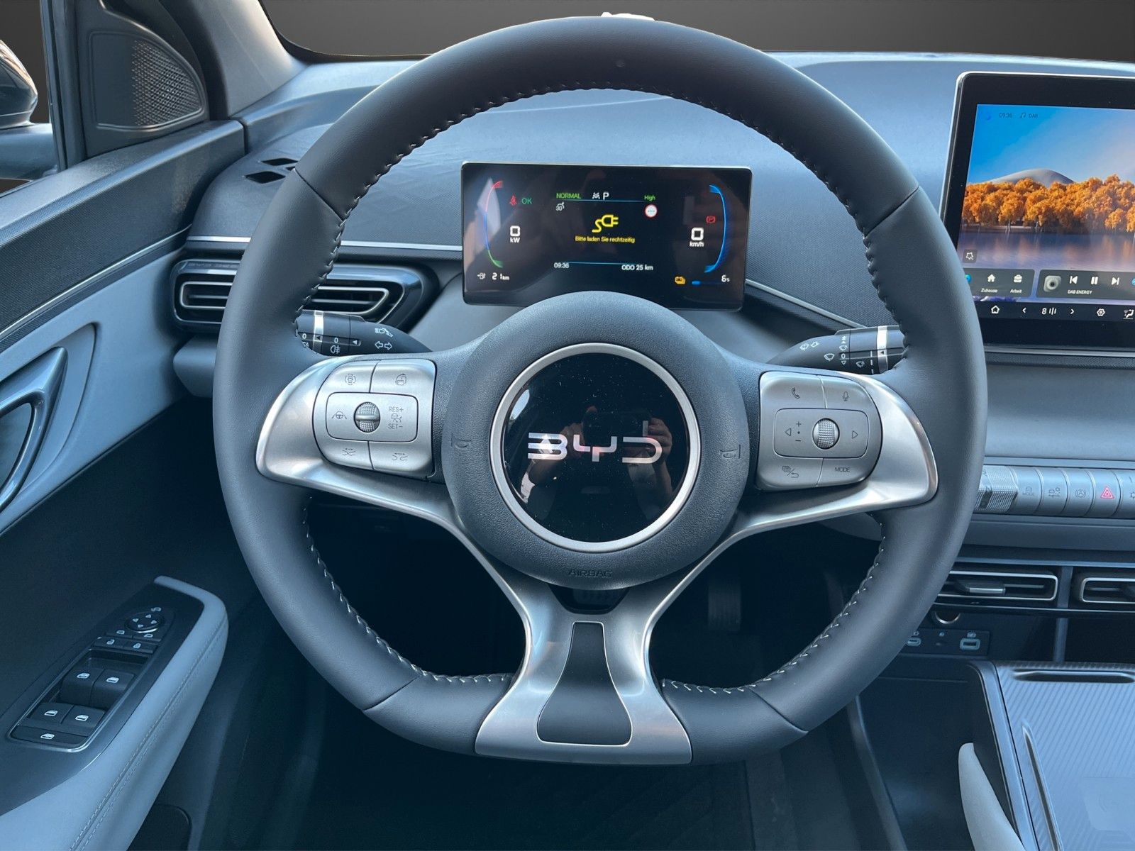 BYD DOLPHIN SURF