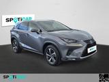 Lexus NX 300 Luxury Line - graue Lexus NX 300