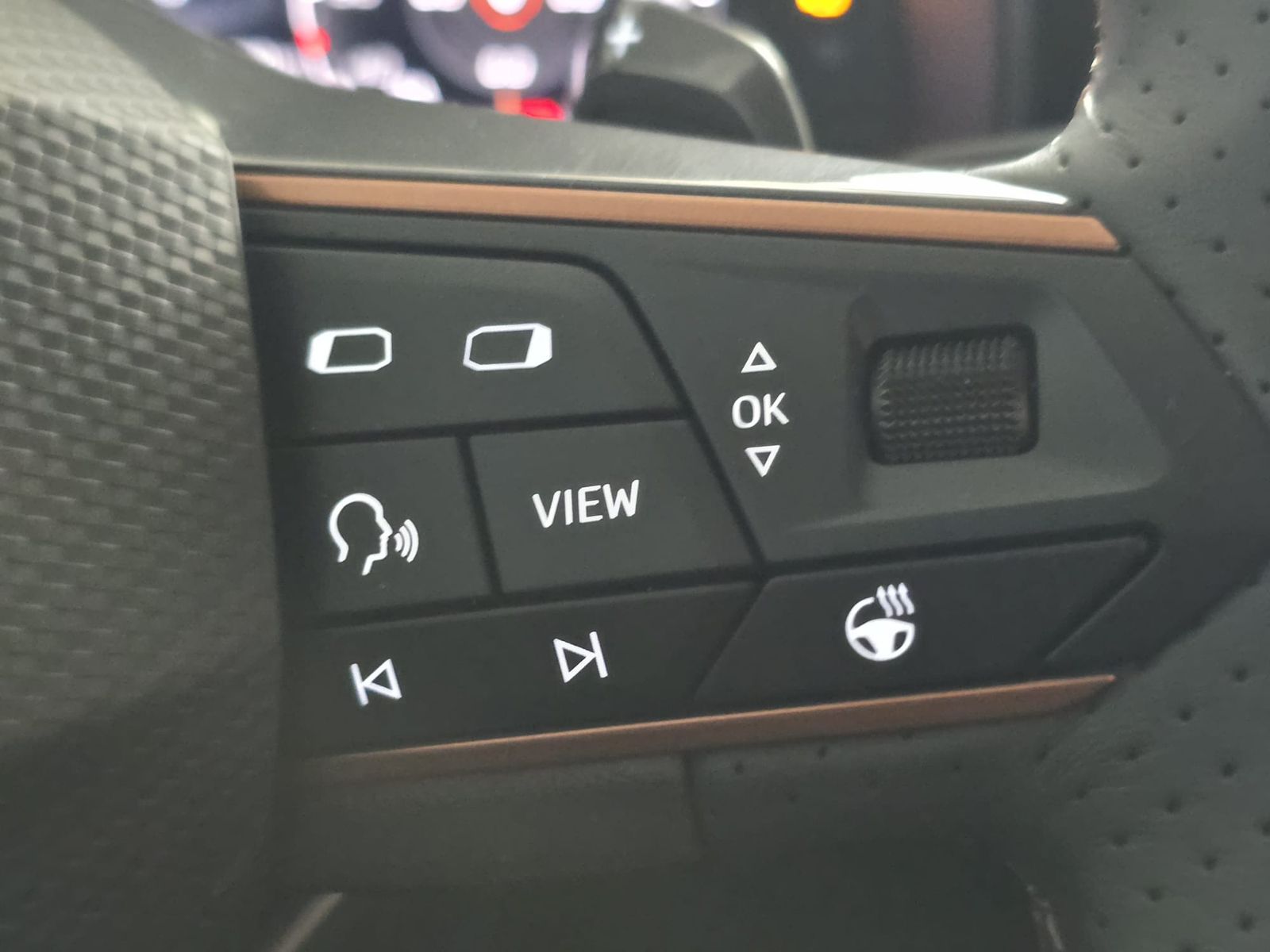 Fahrzeugabbildung CUPRA Leon 1.5 eTSI DSG MATRIX*PANO*ACC*DCC*KAM*WINTER