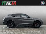 Alfa Romeo Stelvio Quadrifoglio V6 2.9 Bi-Turbo AT8-Q4 - Alfa Romeo New cars