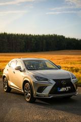 Lexus NX300h F-SPORT, Pano, 360, ACC, Allrad, Garantie - Lexus: Nx