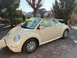 Volkswagen Beetle Cabrio TÜV + Großer KD neu - Volkswagen Beetle: Beige