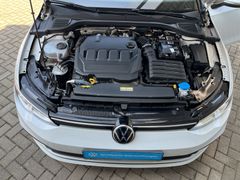 Fahrzeugabbildung Volkswagen Golf VIII Variant 2.0 TDI DSG Life ACC NAVI SHZ