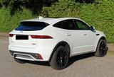 Jaguar E-Pace P300 R-DYNAMIC SE 4WD mit Panoramadach  - Jaguar E-Pace: Se