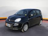 Fiat Panda MY24 1.0 Klima PDC Citypaket - Fiat Panda Gebrauchtwagen in Münster