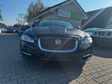 Jaguar XJ Premium Luxury Lang - Jaguar XJ aus 2013