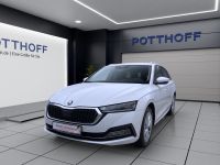 Skoda Octavia - Vorschau Bild 2