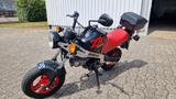 Honda ZB 50 Monkey - HONDA MONKEY 50