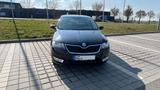 Skoda Rapid 1.6 TDI Joy Spaceback Joy - Skoda Rapid mit Diesel-Antrieb: Joy