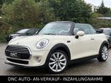 MINI COOPER Cabrio Cooper/LEDER/SHZ/TUV-SERVICE NEU/ - : Beige, Cabrio
