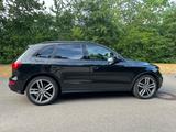 Audi SQ5 3.0 TDI competition 21er AHK PANO B&O ACC  - Audi SQ5 aus 2017