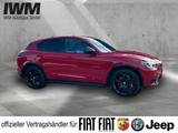 Alfa Romeo Stelvio Competizione Q4 - Alfa Romeo Stelvio Competizione
