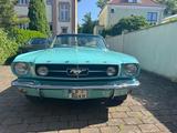 Ford Mustang Cabrio Bj. 65 V8 Motor 289 cui (4,7l)  - Ford Mustang: Motor