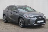 Lexus UX 250h F SPORT Design - Lexus UX: F Sport Design