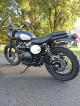 Triumph NEU!!! Street Scrambler 900 GoldLine Edition 