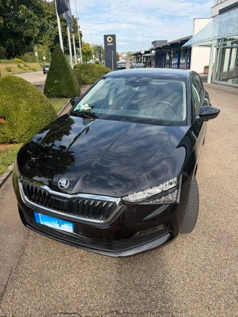 Image of Skoda Scala