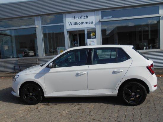 Skoda Fabia  1,0 Style Navi, Sitzh.,Rückfahrkamera