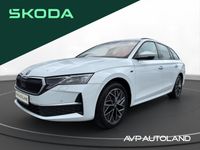 Skoda Octavia - Vorschau Bild 1