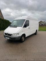 Mercedes-Benz Sprinter 313 lang - Mercedes-Benz Sprinter aus 2005: 313